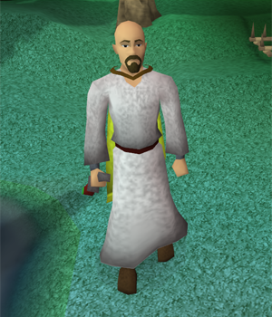 Saradomin wizard