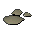 Ground Goat Horn