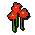 nasturtium
