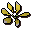 Star flower