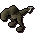 Barb-tailed Kebbit