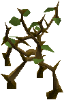 Dense Jungle