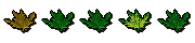 Jungle Potion Herbs