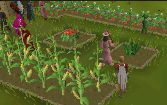 farming pic