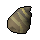 Perfect snail shell