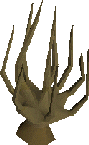 Achey Tree