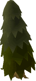 Arctic Pine Tree