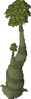 Hollow Tree