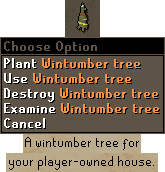 Wintumber tree