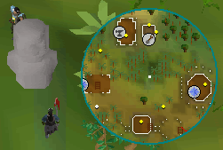 image not showing