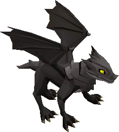 baby black dragons