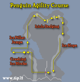 Pinguim Curso de Agilidade