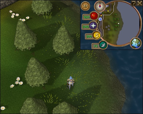 Treasure Trails Elite - Pages :: Tip.It RuneScape Help :: The Original ...