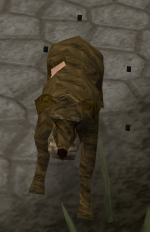 where is the stray dog in varrock